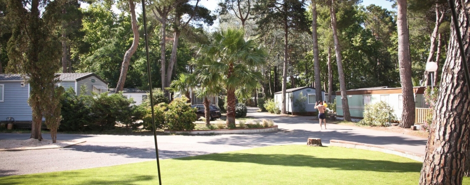 Taxo Les Pins Linguadoca-Rossiglione - Argelès-sur-Mer visuel 14/17 Taxo Les Pins Linguadoca-Rossiglione - Argelès-sur-Mer visuel 14/17