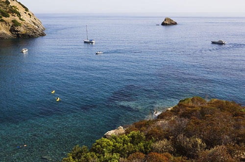 Tenuta delle Ripalte Toscana - Capoliveri visuel 4/9