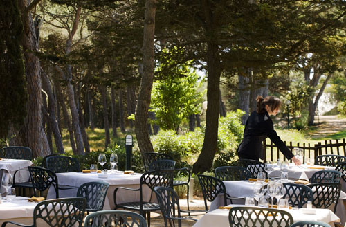 Tenuta delle Ripalte Toscana - Capoliveri visuel 7/9