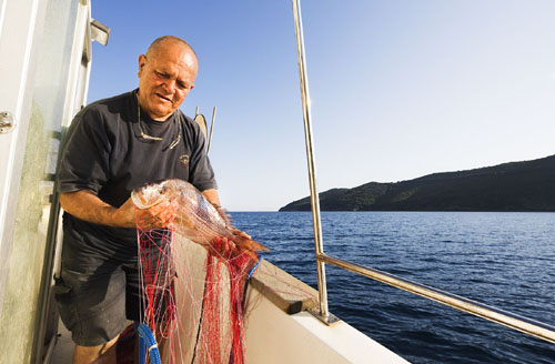 Tenuta delle Ripalte Toscana - Capoliveri visuel 9/9