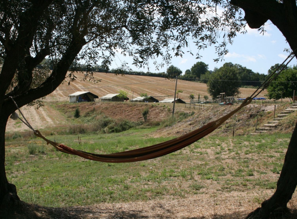 Tenuta Tredici Olivi Marche - Senigallia visuel 2/5