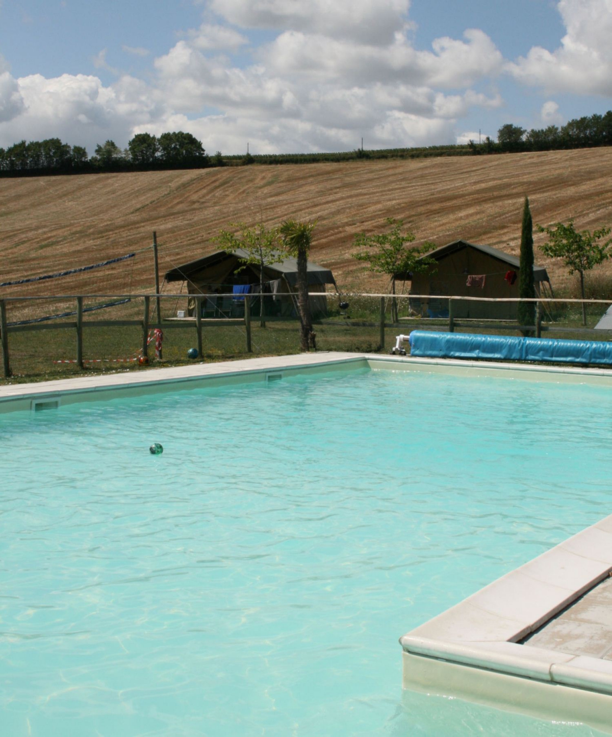 Tenuta Tredici Olivi Marche - Senigallia visuel 3/5