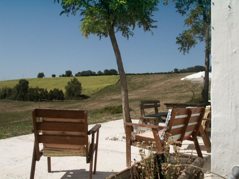 Tenuta Tredici Olivi Marche - Senigallia visuel 4/5