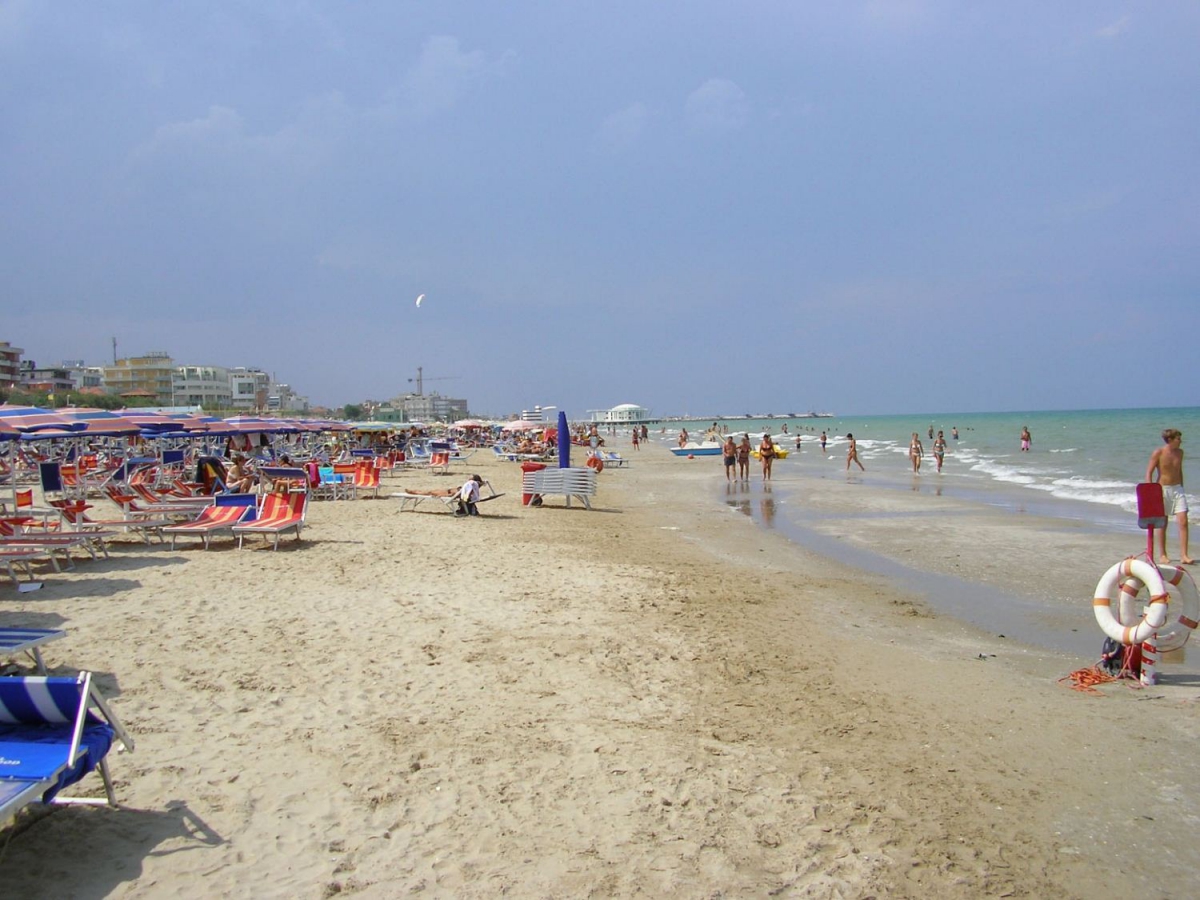 Tenuta Tredici Olivi Marche - Senigallia visuel 5/5