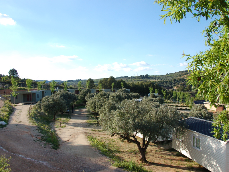 Terra Alta Costa Dorada - Bot visuel 9/9