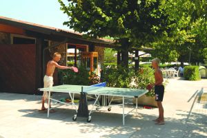 Tiglio Lombardia - Sirmione visuel 5/10