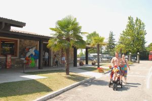 Tiglio Lombardia - Sirmione visuel 8/10