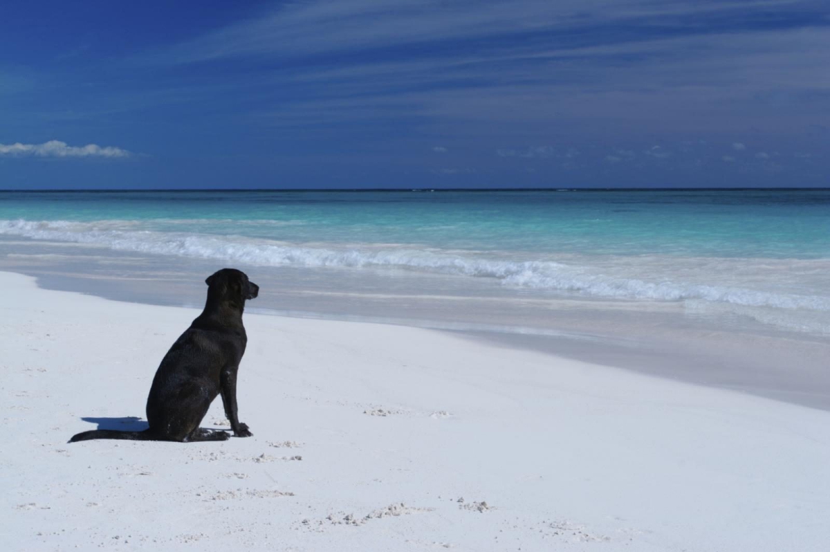 Tiliguerta Sardegna - Muravera visuel 6/10
