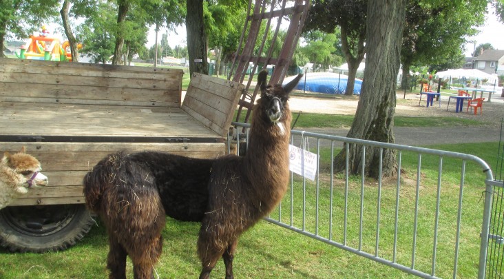 Touristique de Gien Centro-Valle della Loira - Gien visuel 7/9 Touristique de Gien Centro-Valle della Loira - Gien visuel 7/9