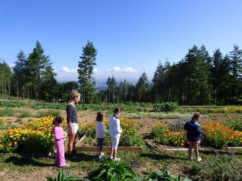 Ty Provost Bretagna - Dinéault visuel 4/7