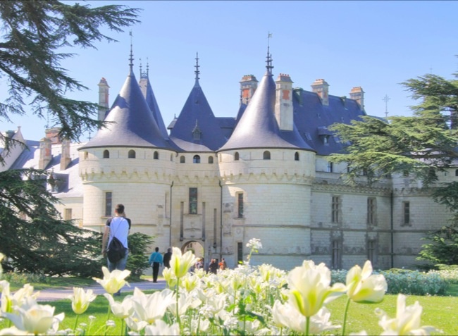 Val de Blois Centro-Valle della Loira - Vineuil visuel 3/4 Val de Blois Centro-Valle della Loira - Vineuil visuel 3/4