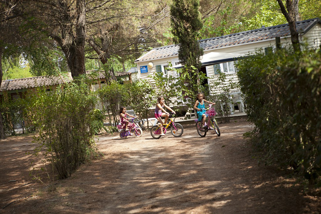 Val de Durance Provenza-Alpi-Costa Azzurra - Cadenet visuel 12/18