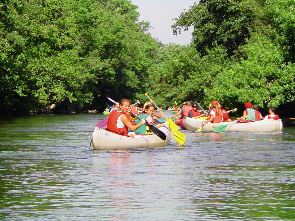 Val de Durance Provenza-Alpi-Costa Azzurra - Cadenet visuel 17/18