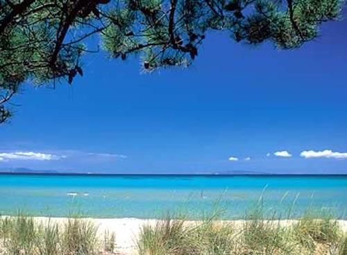 Vallicella Toscana - Scarlino visuel 9/10