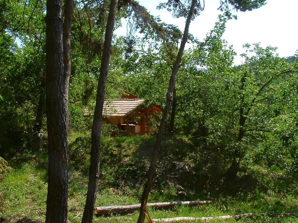 Valsaintes Provenza-Alpi-Costa Azzurra - Simiane-la-Rotonde visuel 8/10 Valsaintes Provenza-Alpi-Costa Azzurra - Simiane-la-Rotonde visuel 8/10