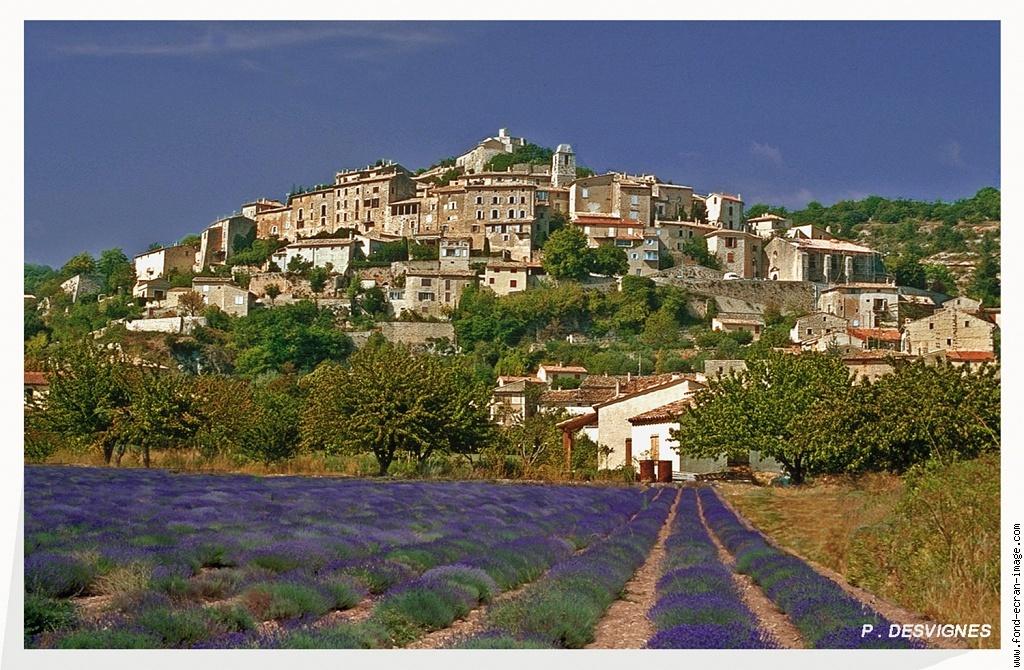 Valsaintes Provenza-Alpi-Costa Azzurra - Simiane-la-Rotonde visuel 10/10 Valsaintes Provenza-Alpi-Costa Azzurra - Simiane-la-Rotonde visuel 10/10