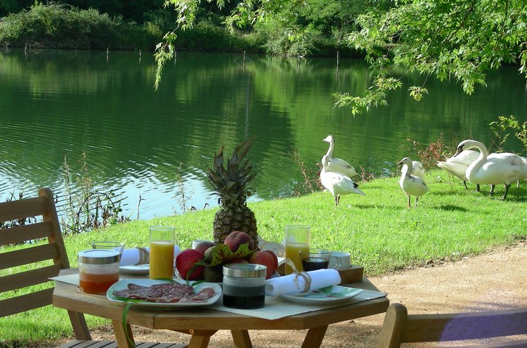 Venise d'Astacus Aquitania - Sablons visuel 3/5