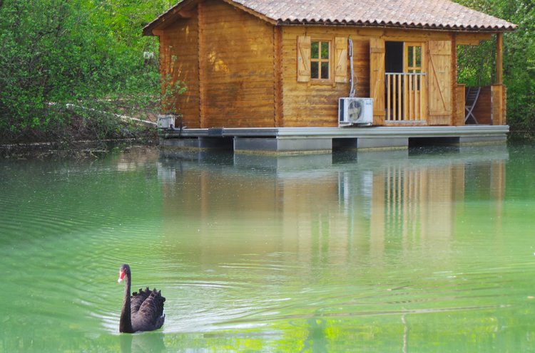 Venise d'Astacus Aquitania - Sablons visuel 5/5