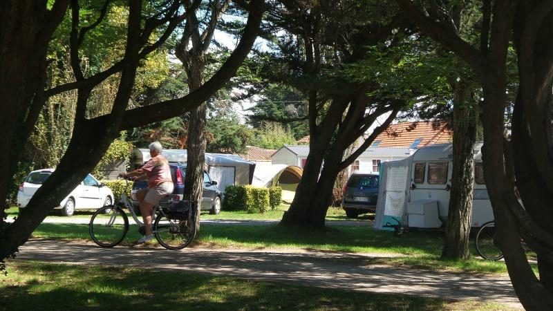 Vieux Chateau Paesi della Loira - Saint-Michel-Chef-Chef visuel 2/8 Vieux Chateau Paesi della Loira - Saint-Michel-Chef-Chef visuel 2/8