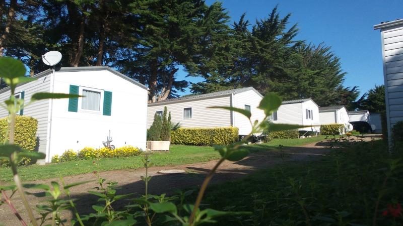 Vieux Chateau Paesi della Loira - Saint-Michel-Chef-Chef visuel 4/8 Vieux Chateau Paesi della Loira - Saint-Michel-Chef-Chef visuel 4/8