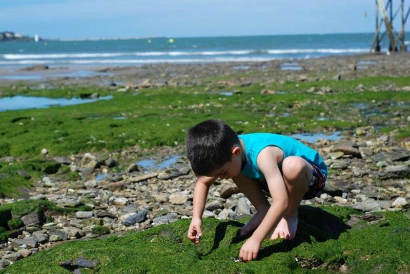 Vieux Chateau Paesi della Loira - Saint-Michel-Chef-Chef visuel 6/8 Vieux Chateau Paesi della Loira - Saint-Michel-Chef-Chef visuel 6/8