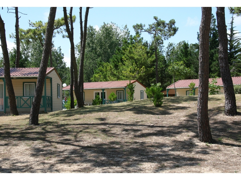 Village Atlantique Vacances Paesi della Loira - Saint-Hilaire-de-Riez visuel 4/5