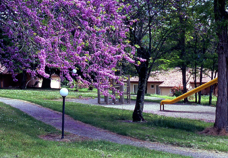 Village de Gites Chateau de Termes Midi-Pirenei - Saint-Denis-lès-Martel visuel 3/9 Village de Gites Chateau de Termes Midi-Pirenei - Saint-Denis-lès-Martel visuel 3/9