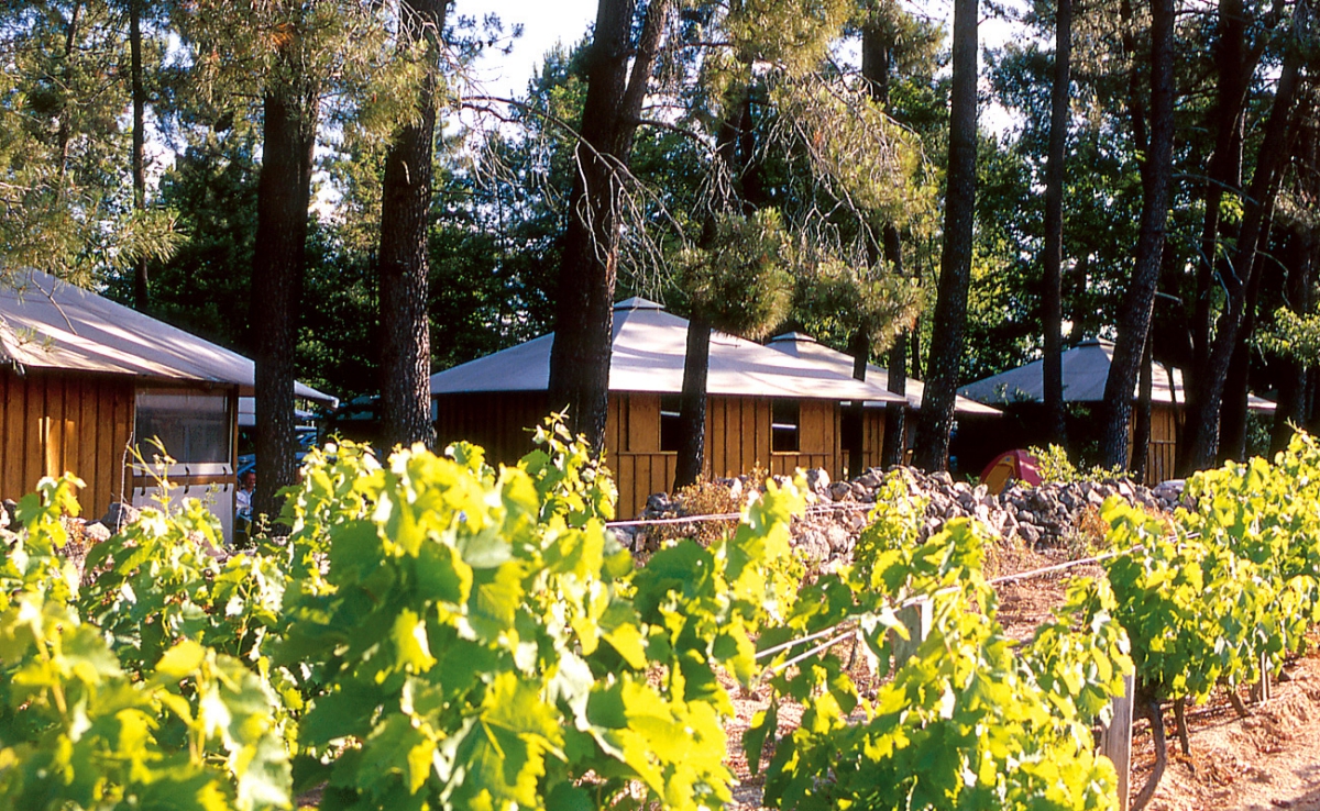 Village de vacances la Croix de Vinchannes Rodano-Alpi - Joyeuse visuel 5/10