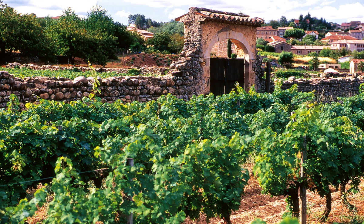 Village de vacances la Croix de Vinchannes Rodano-Alpi - Joyeuse visuel 10/10