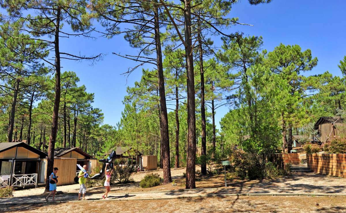 Village de vacances Les Oyats Sylvadoures - Aquitania - Carcans visuel 2/9 Village de vacances Les Oyats Sylvadoures - Aquitania - Carcans visuel 2/9