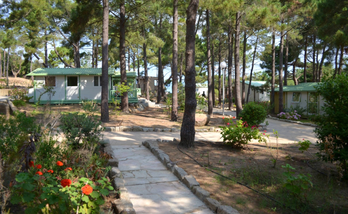 Village de vacances U Livanti Corsica - Belvédère-Campomoro visuel 1/10