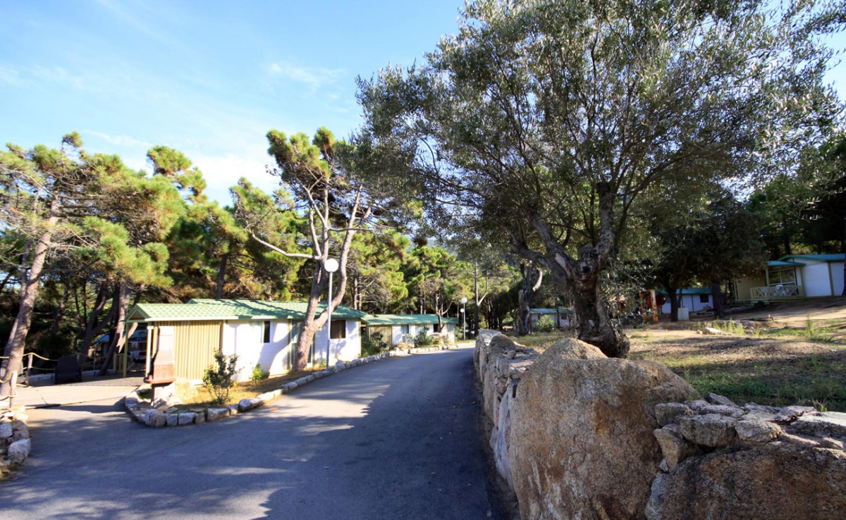 Village de vacances U Livanti Corsica - Belvédère-Campomoro visuel 2/10