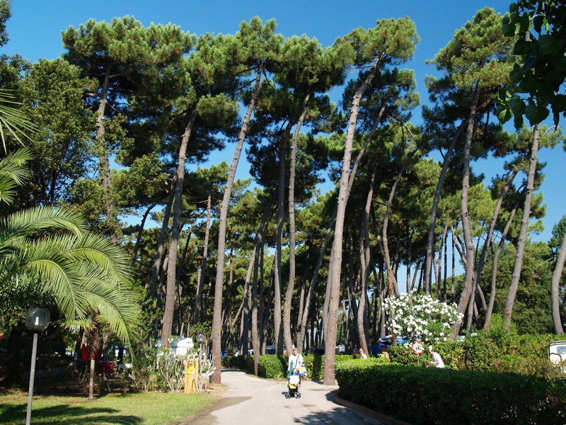 Village Settebello Lazio - Fondi visuel 8/10