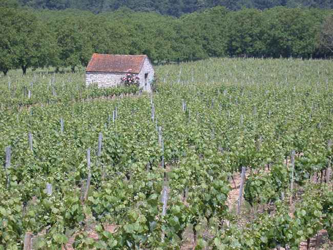 Village Vacances des Cigales Midi-Pirenei - Mauroux visuel 10/10 Village Vacances des Cigales Midi-Pirenei - Mauroux visuel 10/10