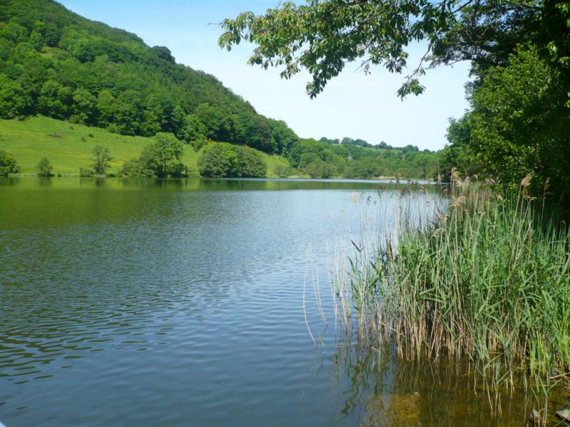 Village Vacances du Lac de Menet Alvernia - Menet visuel 4/6