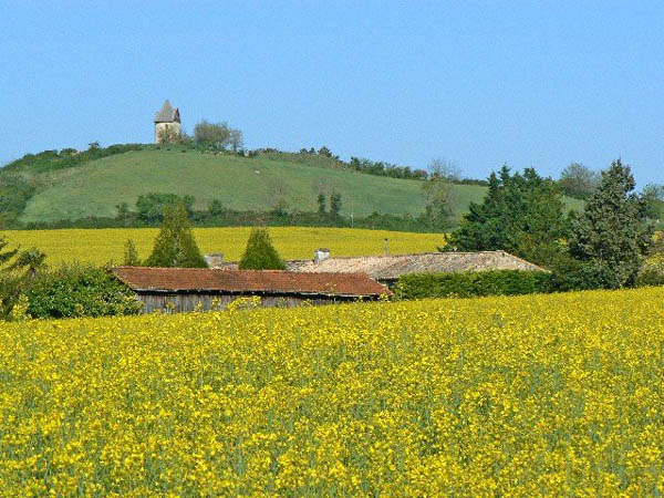 Village Vacances  La Forêt Poitou-Charentes - Montendre visuel 7/10