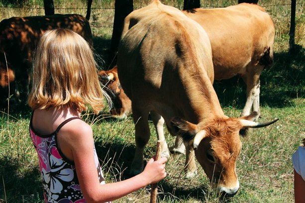 Village Vacances Aux Portes des Monts d’Aubrac Midi-Pirenei - Espalion visuel 2/6 Village Vacances Aux Portes des Monts d’Aubrac Midi-Pirenei - Espalion visuel 2/6