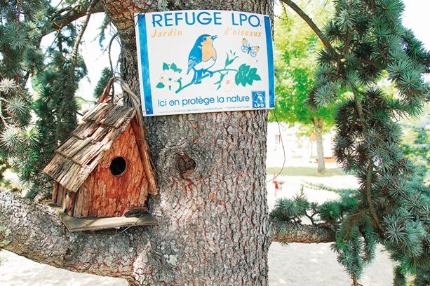 Village Vacances Aux Portes des Monts d’Aubrac Midi-Pirenei - Espalion visuel 3/6 Village Vacances Aux Portes des Monts d’Aubrac Midi-Pirenei - Espalion visuel 3/6