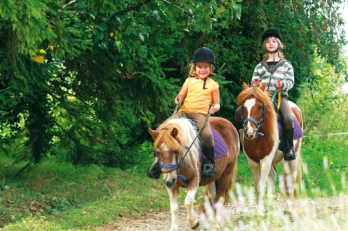 Village Vacances Les Hauts de Najac Midi-Pirenei - Najac visuel 10/10