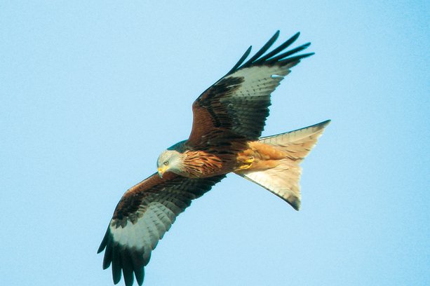 Villages Brusque Midi-Pirenei - Brusque visuel 3/8 Villages Brusque Midi-Pirenei - Brusque visuel 3/8