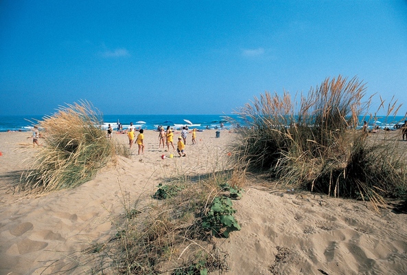 Villaggio Turistico Adriatico Veneto - Lido di Jesolo visuel 5/10