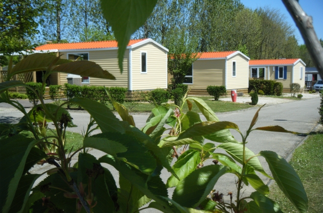 Vitamin Alta Normandia - Saint-Aubin-sur-Scie visuel 9/11 Vitamin Alta Normandia - Saint-Aubin-sur-Scie visuel 9/11