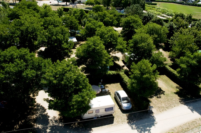 Voiles d'Anjou Paesi della Loira - Les Rosiers sur Loire visuel 5/11 Voiles d'Anjou Paesi della Loira - Les Rosiers sur Loire visuel 5/11