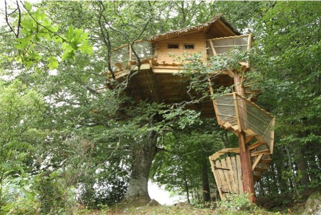 Voler avec Les Oiseaux Alvernia - Saint-Simon visuel 4/8