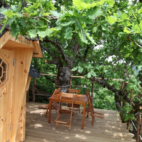 Voler avec Les Oiseaux Alvernia - Saint-Simon visuel 7/8