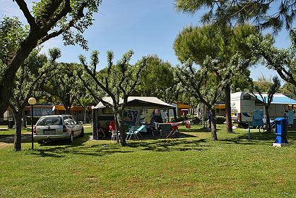 Waikiki Veneto - Lido di Jesolo visuel 4/10