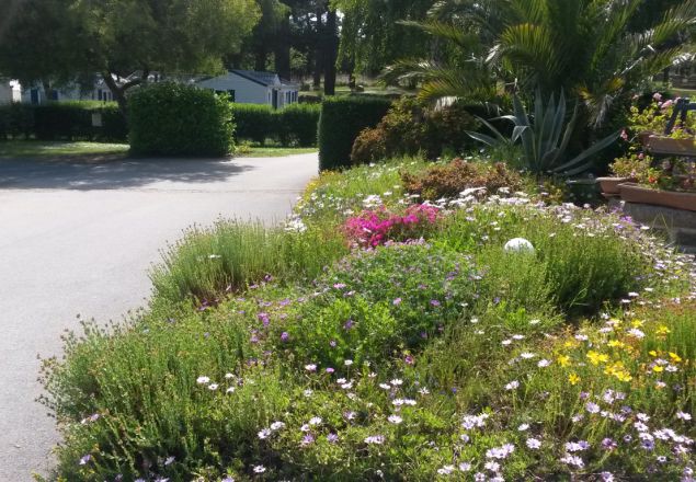 West Camping Bretagna - Perros-Guirec visuel 2/3