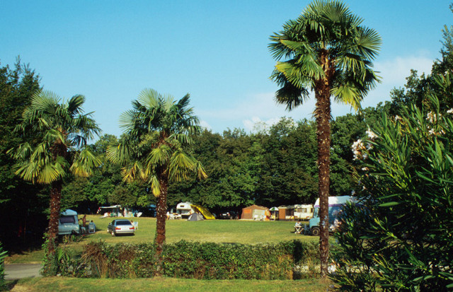 Zocco Lombardia - Manerba del Garda visuel 3/9