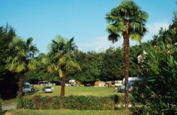 Zocco Lombardia - Manerba del Garda visuel 7/9