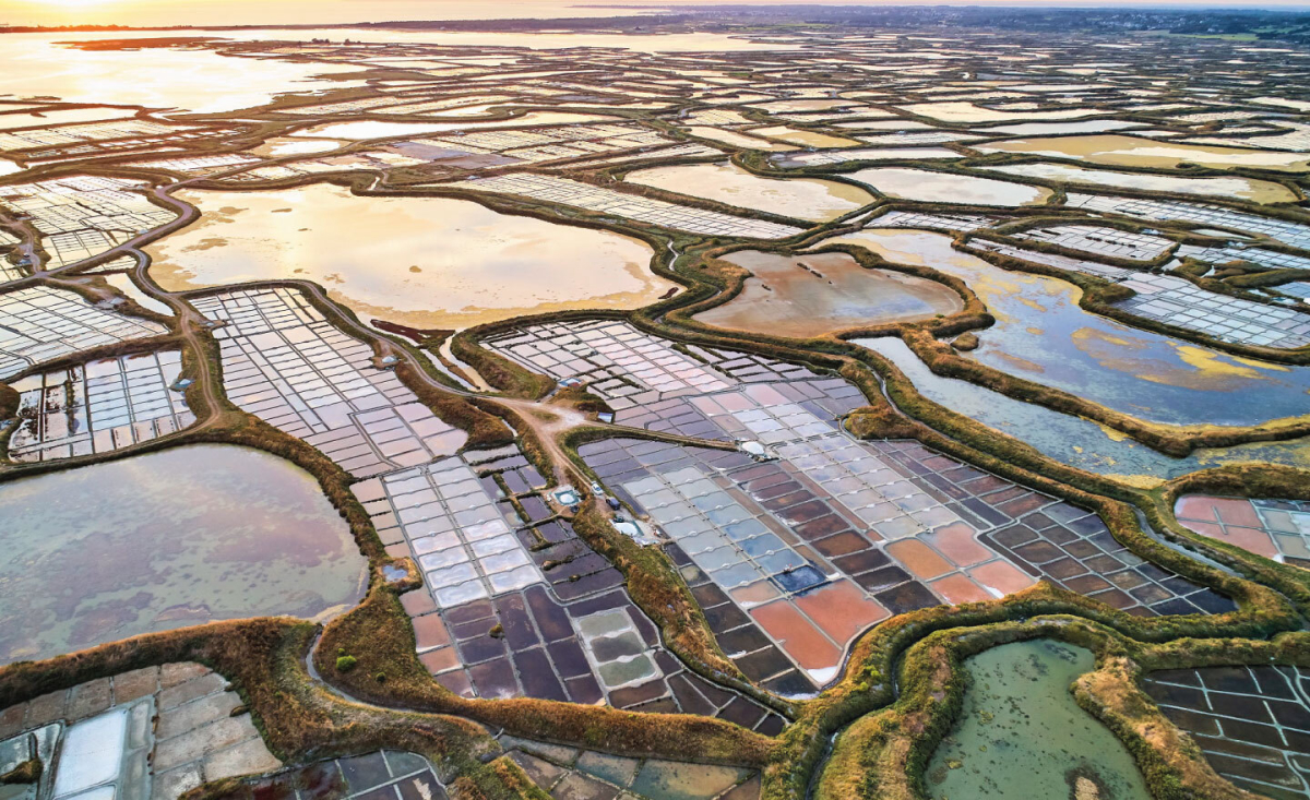 Bois de Bayadène Paesi della Loira - Piriac-sur-Mer visuel 4/10